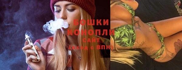 шишки Балахна