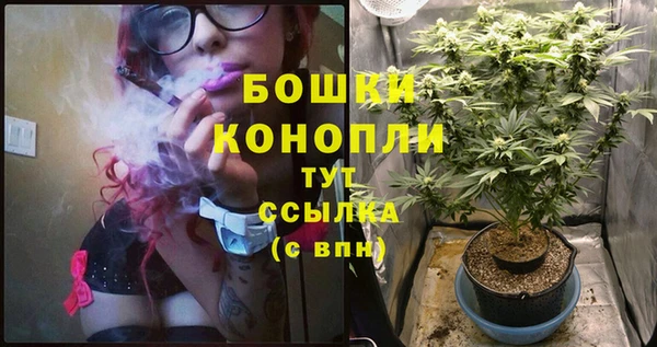 ALPHA PVP Армянск