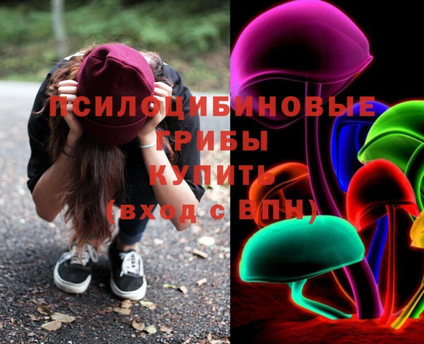 гидра Заволжск