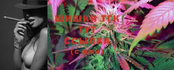 шишки Балахна