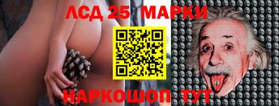 индика Анжеро-Судженск