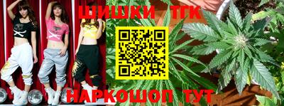 индика Анжеро-Судженск