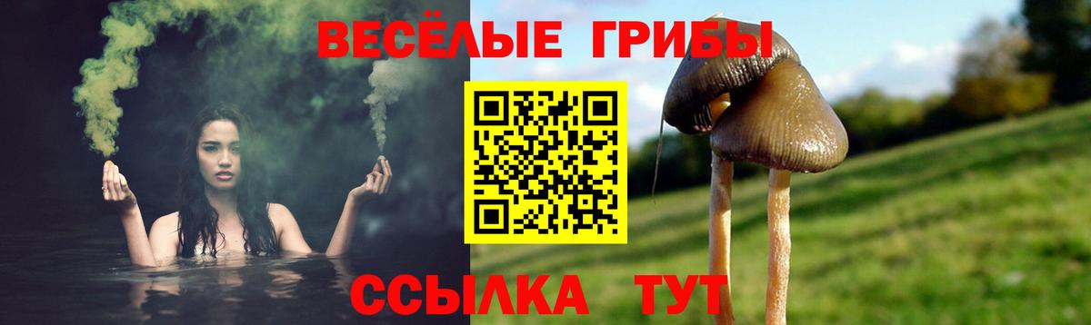 закладка  Вход с VPN  Одинцово  Галлюциногенные грибы MAGIC MUSHROOMS 